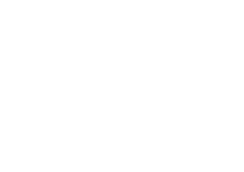 限定品 マグネループEX 日本限定 桜デザイン